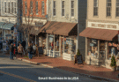 Small Businesses in the USA